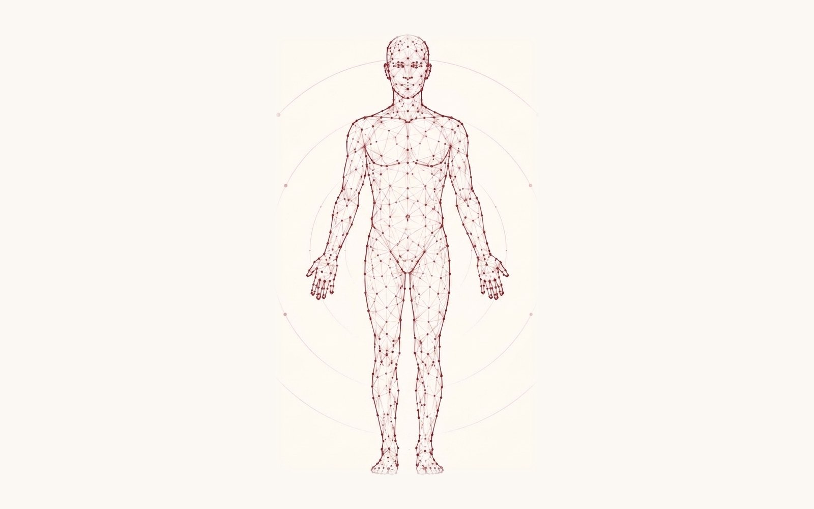 Line illustration of the human body drawn as a network of connected points, within concentric circles