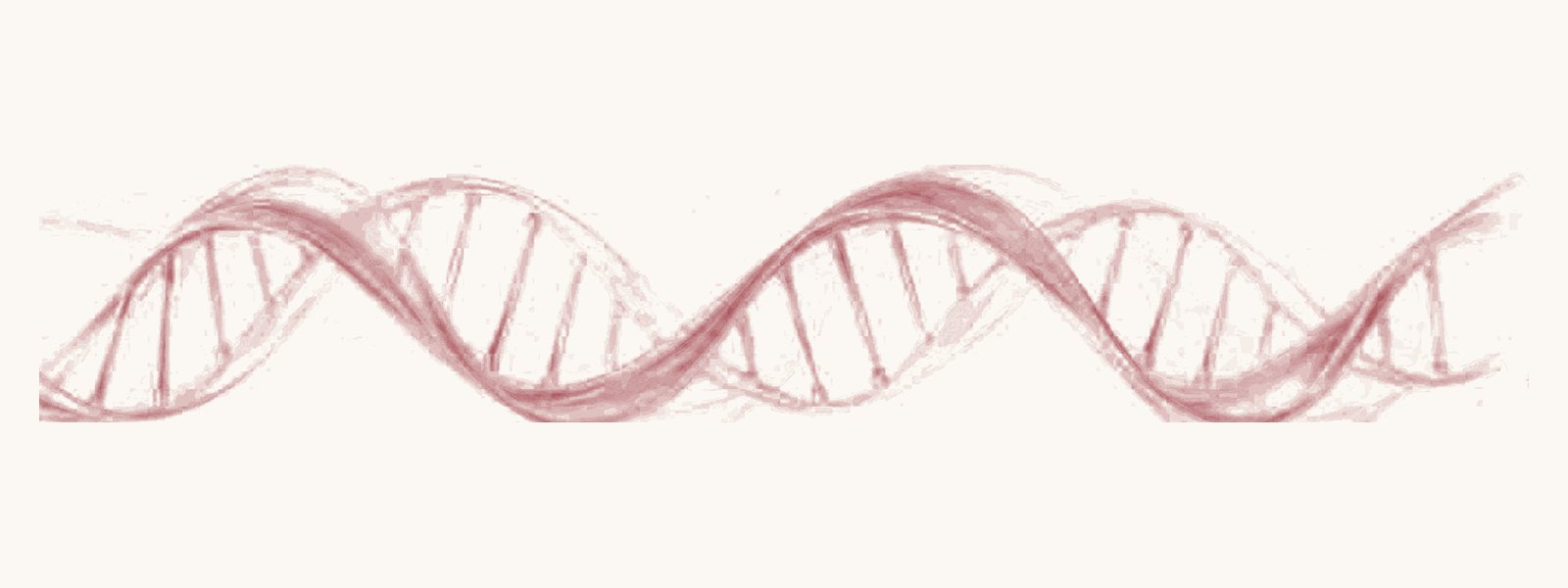 Soft line drawing of a DNA double helix